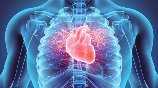 Cardiology Maps
